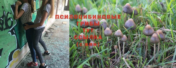 ALPHA-PVP Карпинск