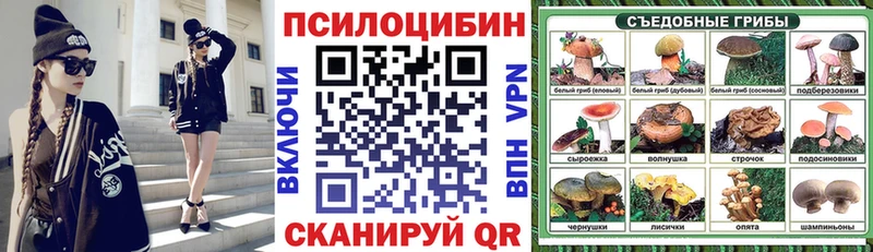Купить закладки  Дмитровск  Псилоцибиновые грибы Cubensis 